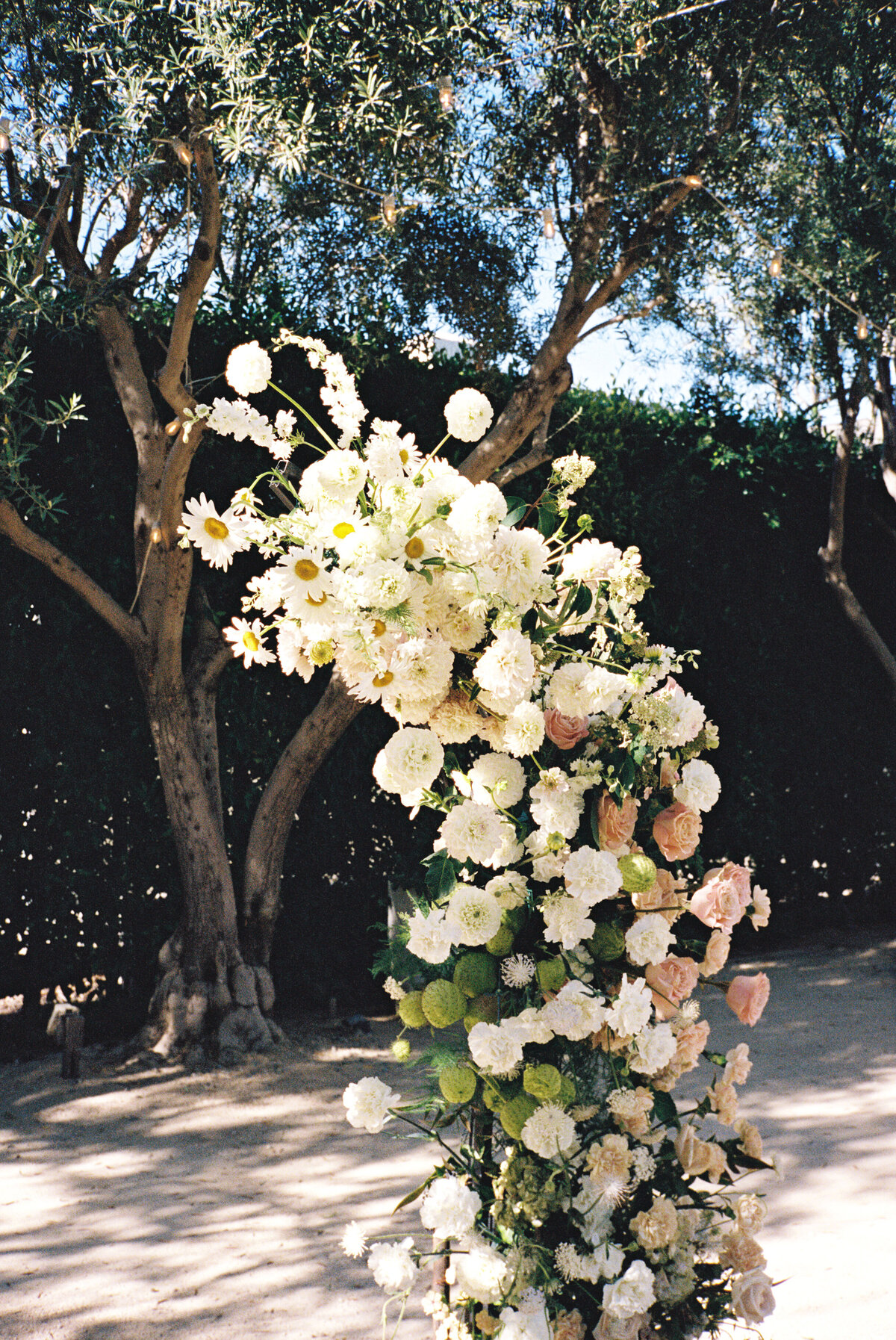 Estell_Joshua_Film-19