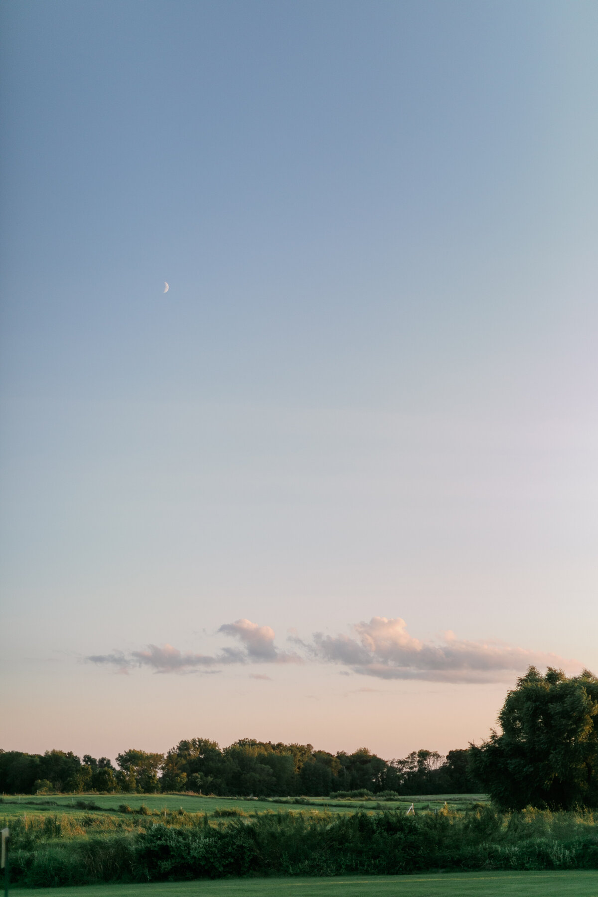 Smith Boranian Wedding-1113