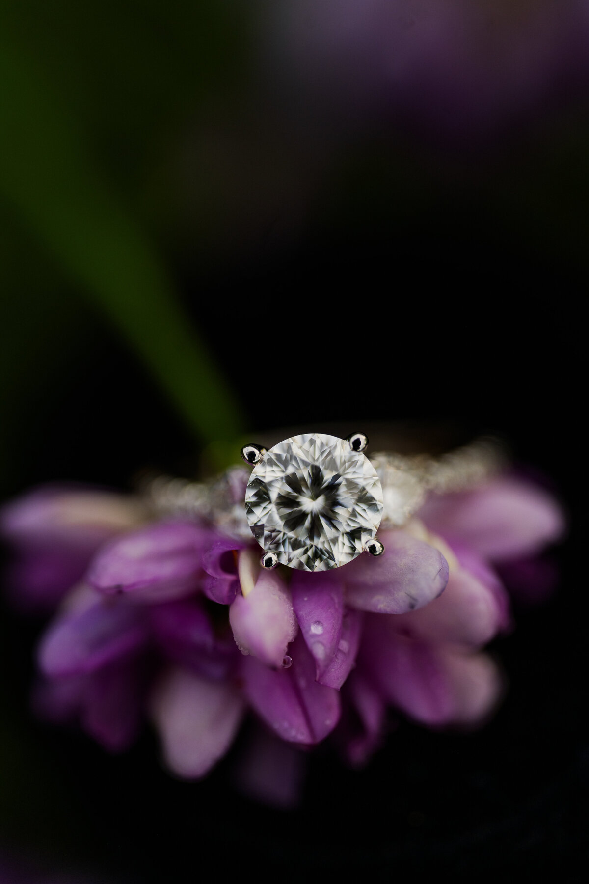 CSH_0079