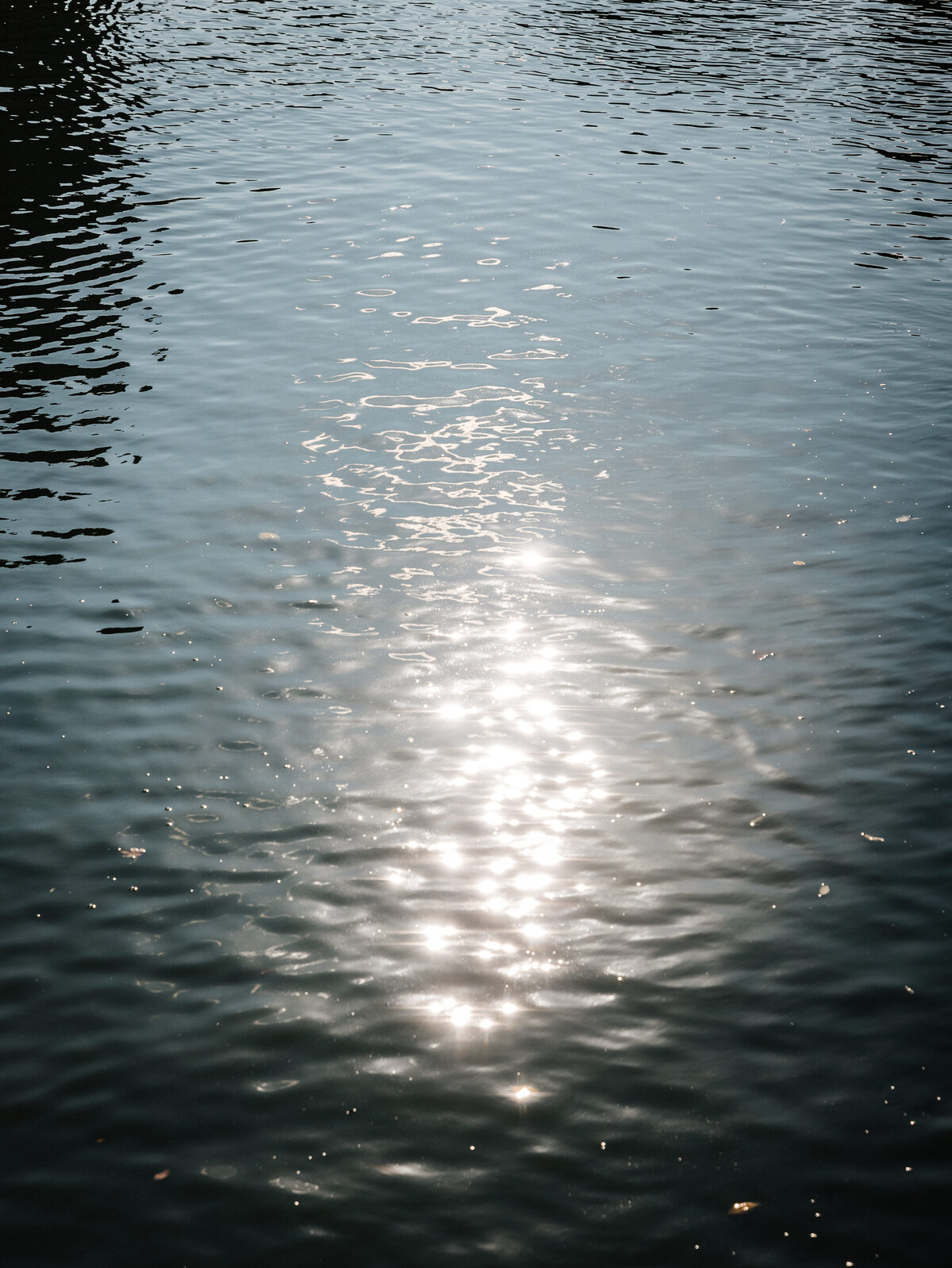 leilabphotodotcom-440