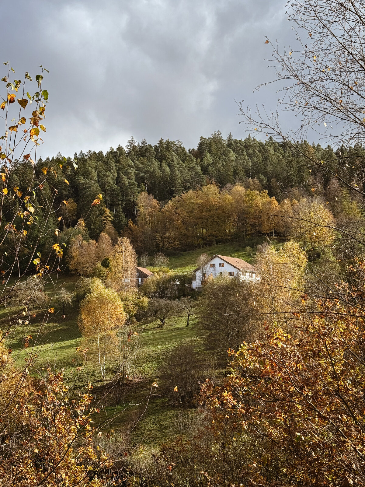 La Source Lily Paloma Collection Maison de vacances avec spa près de Gerardmer (2)