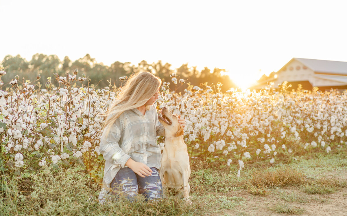 Kneeling girl and her yellow lab in a cotton field in autumn in Portal GA during golden hour