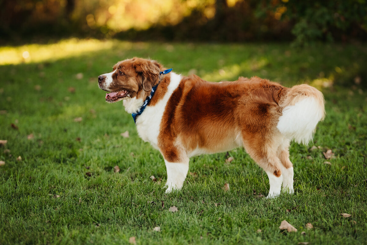 NicoleS_Fall2025_004