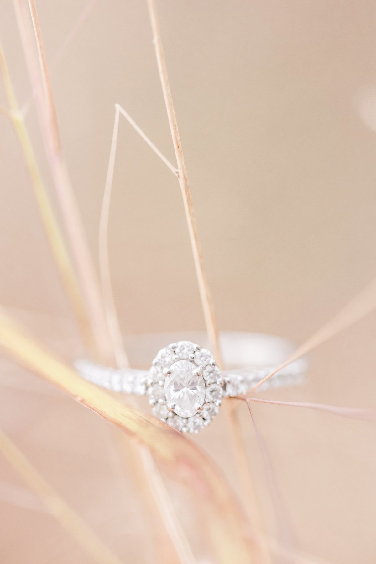 stephanie-kase-photography_0508