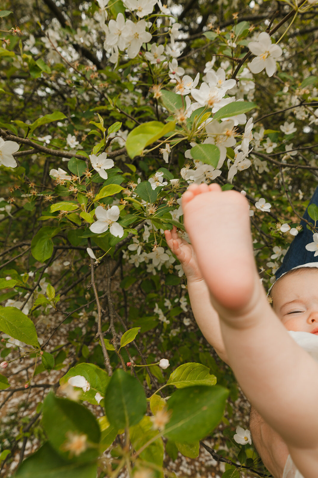 Atlanta-Family-Photography-Milestone-Photos-Spring-144