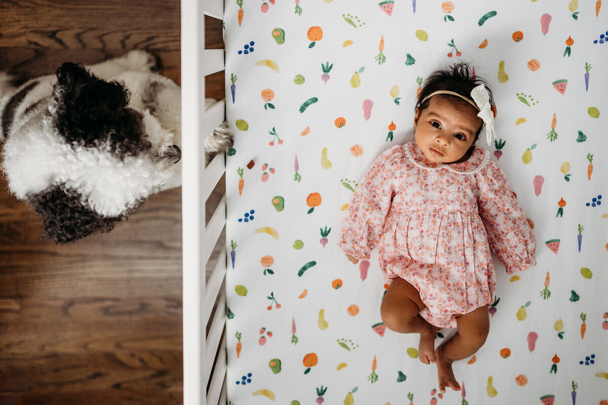 newborn girl in her crib with dog looking into her crip