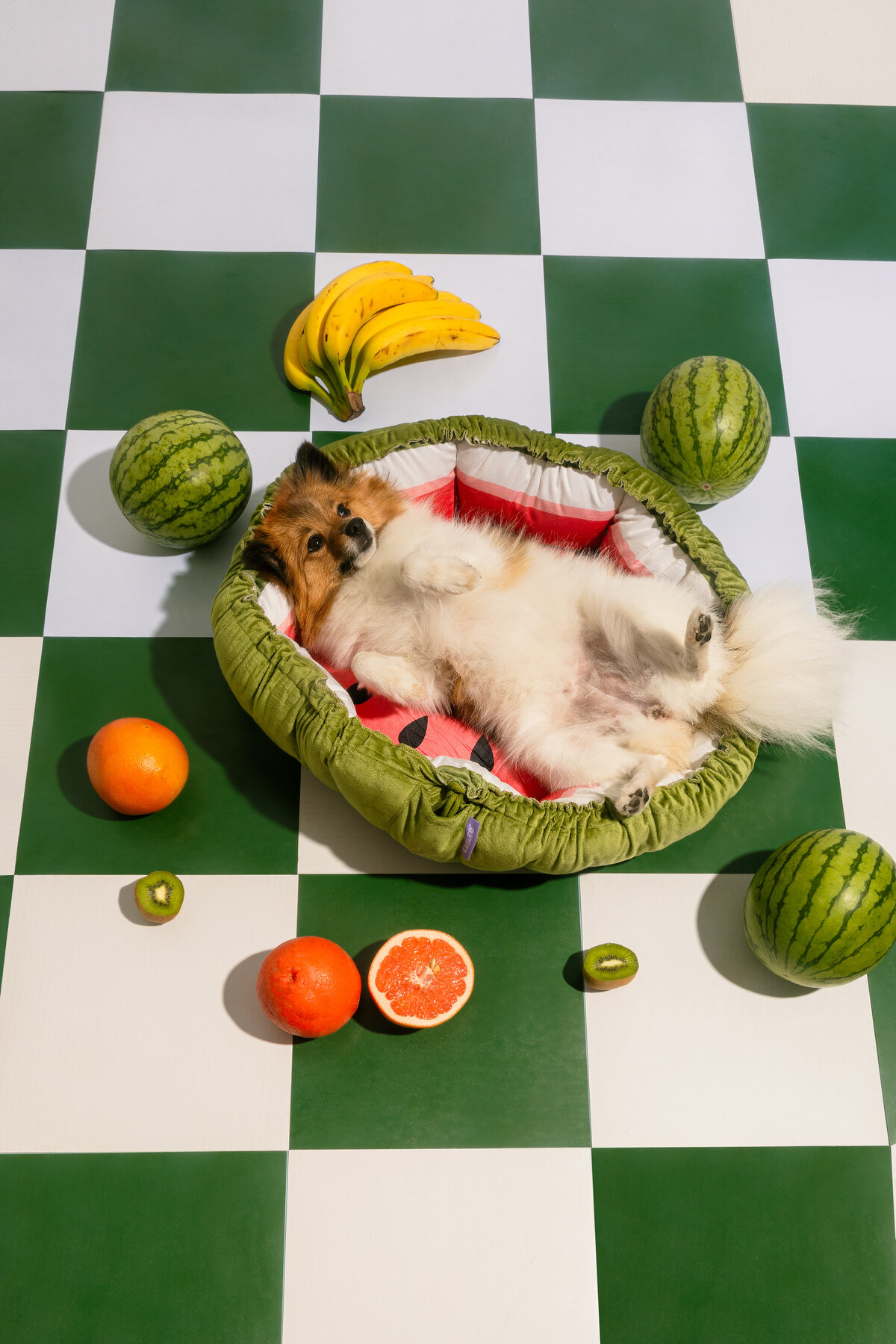 fruits for website_-10