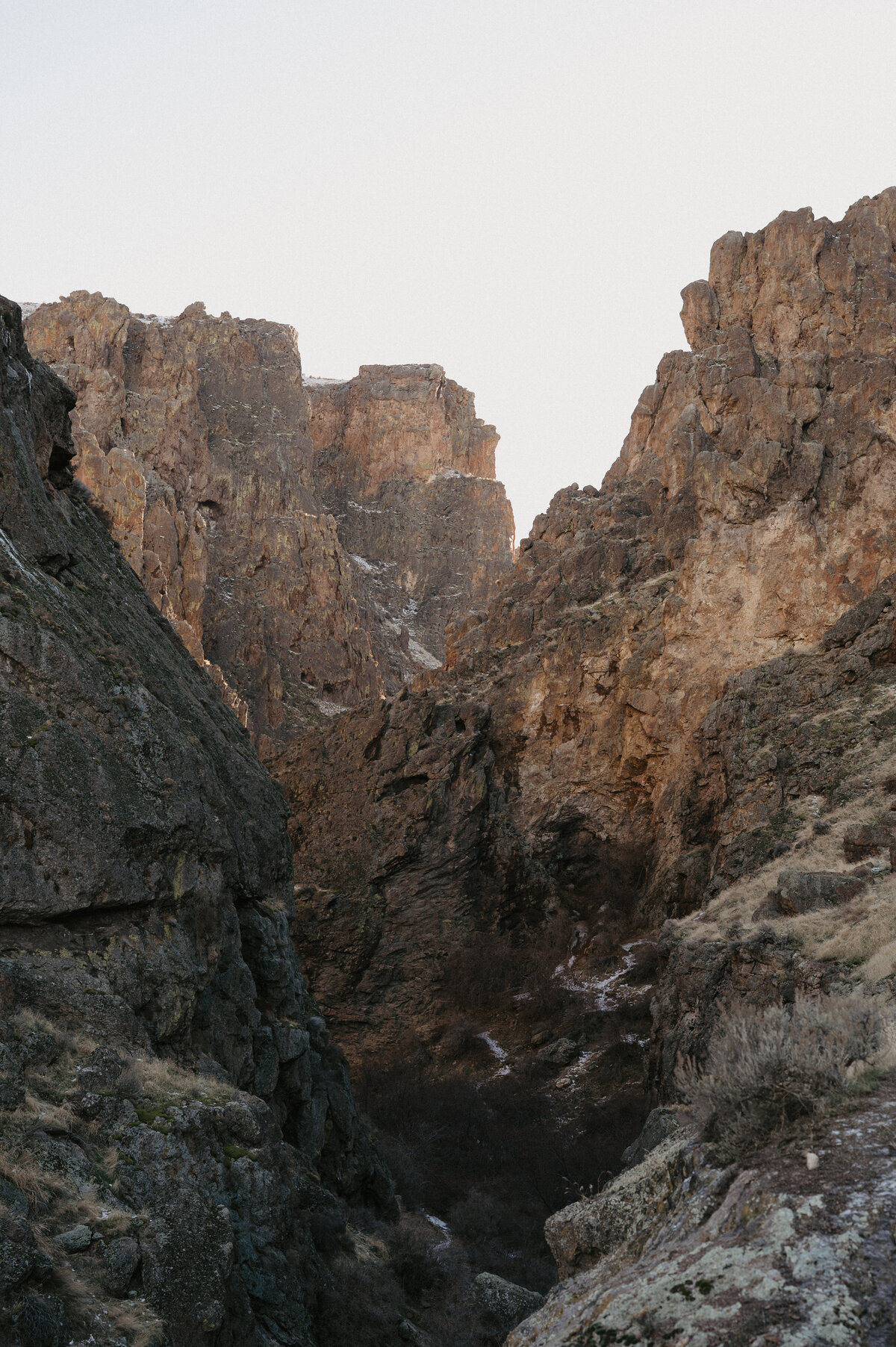 MountainTimePhotography-8