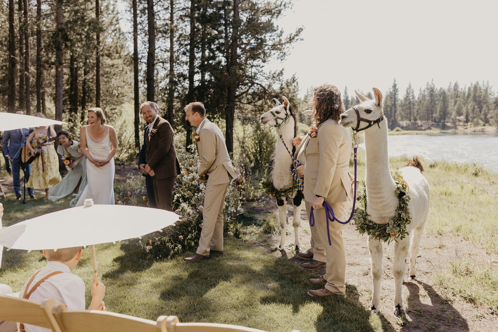 Kirsten+Phil-548
