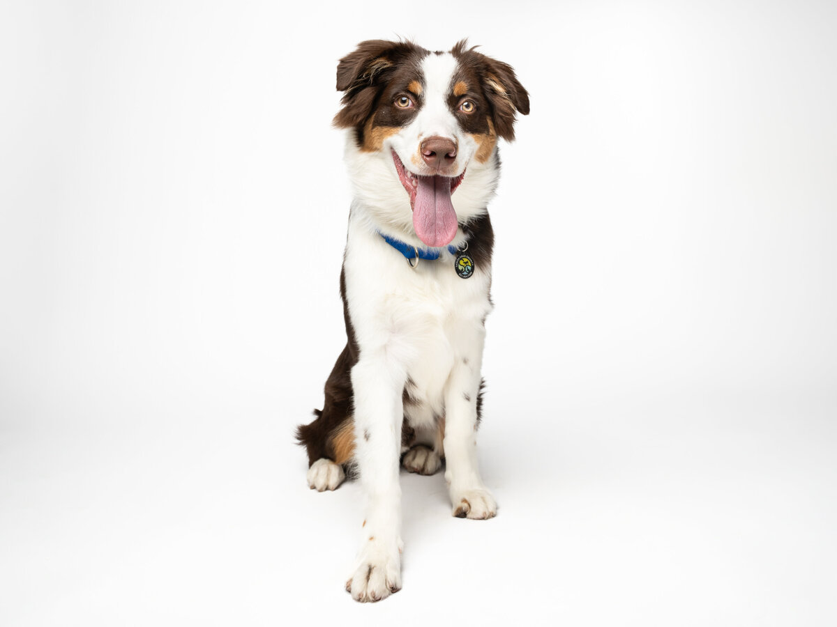 Website3500-DSC01608