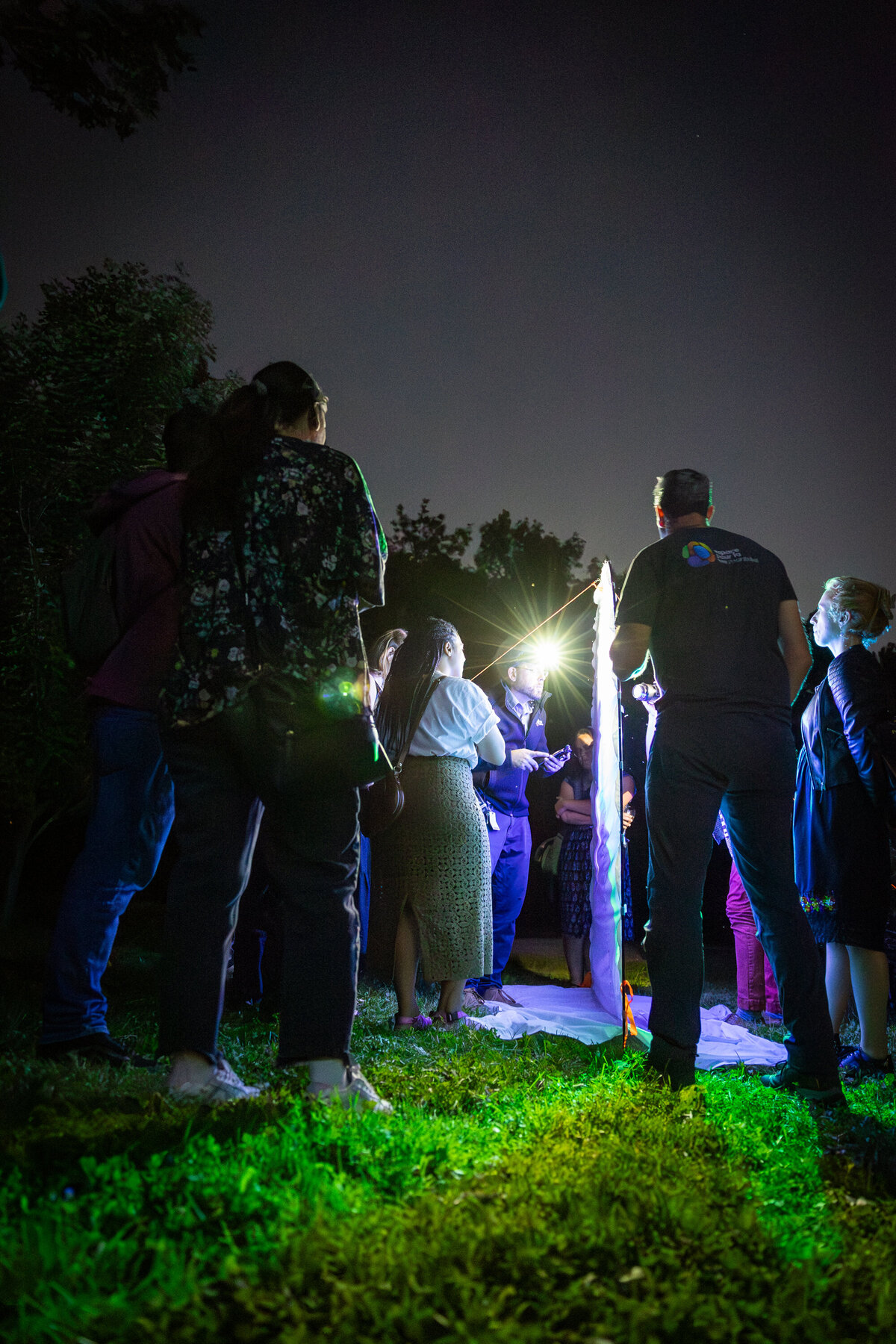 Observation nocturne d'insectes lors des Butineries