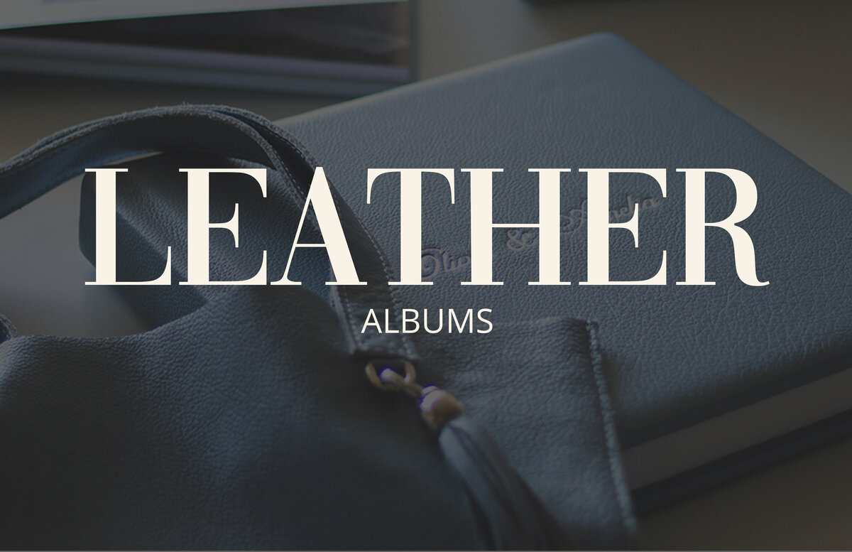 019 - pg 36-37  - Intro - Leather Album