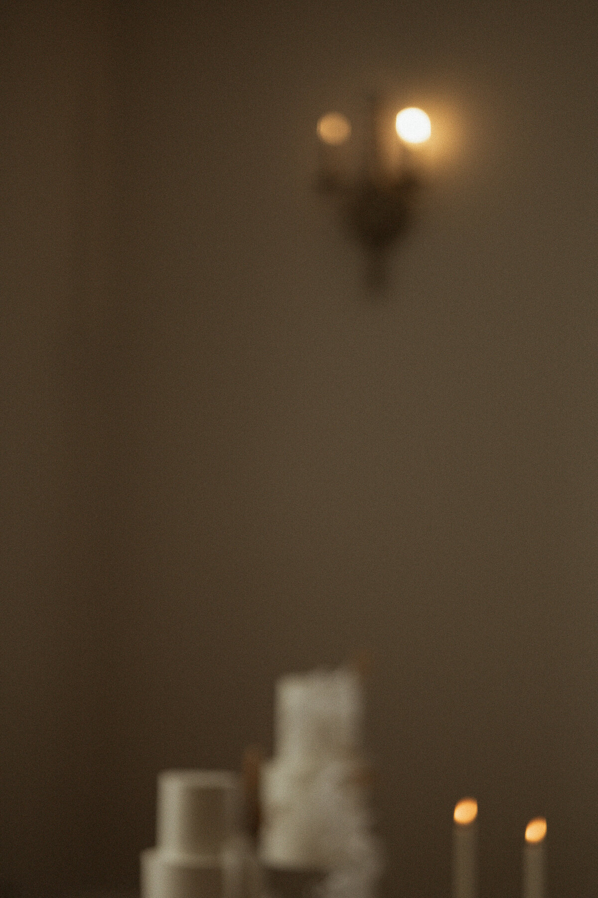 WEBSITE-ottawa-toronto-pec-kingston-ontario-quebec-lifestyle-couples-wedding-elopement-engagement-photographer-8563