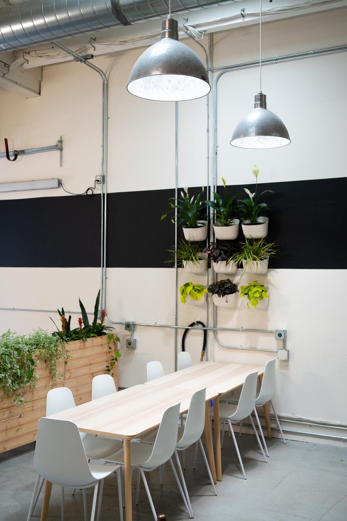 Minimalist communal table with white chairs beneath industrial pendant lights and a wall display of potted plants.