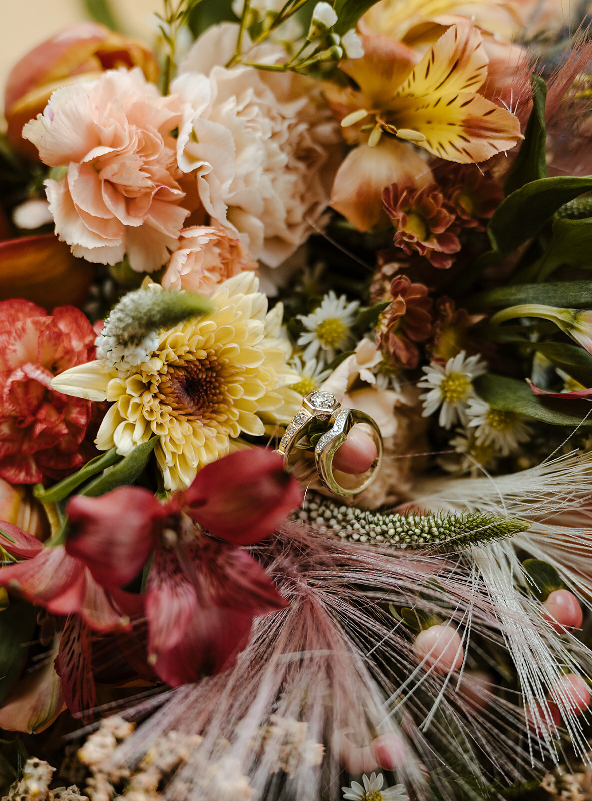 curiouscourtneysphotography-9-5