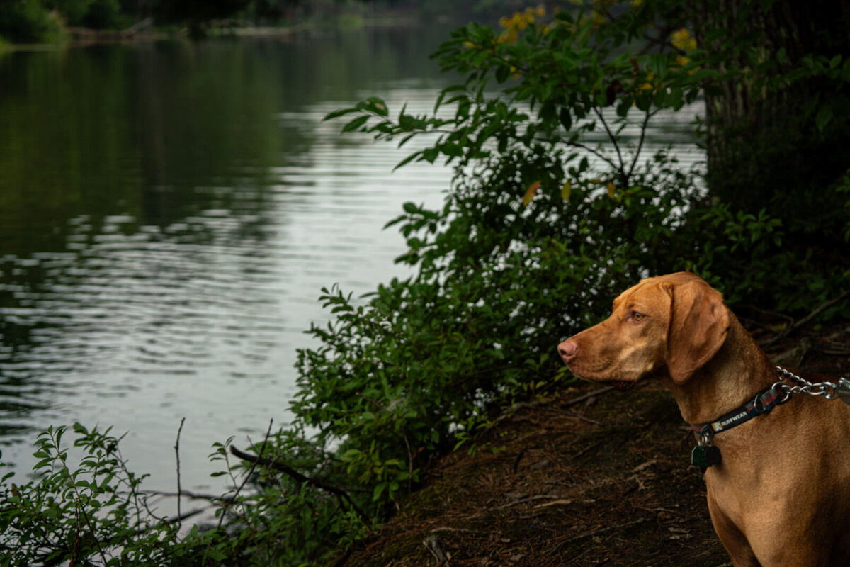 best-day-in-the-life-photographer-new_england-new_hamshire012