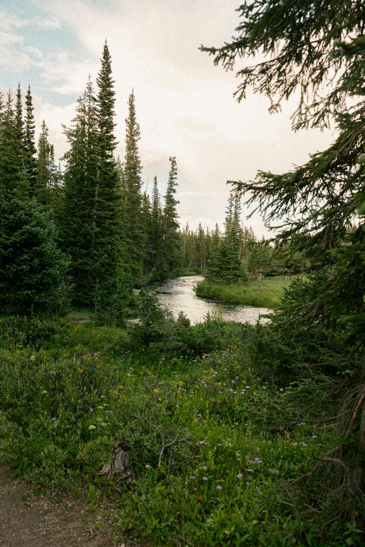 Colorado Elopement