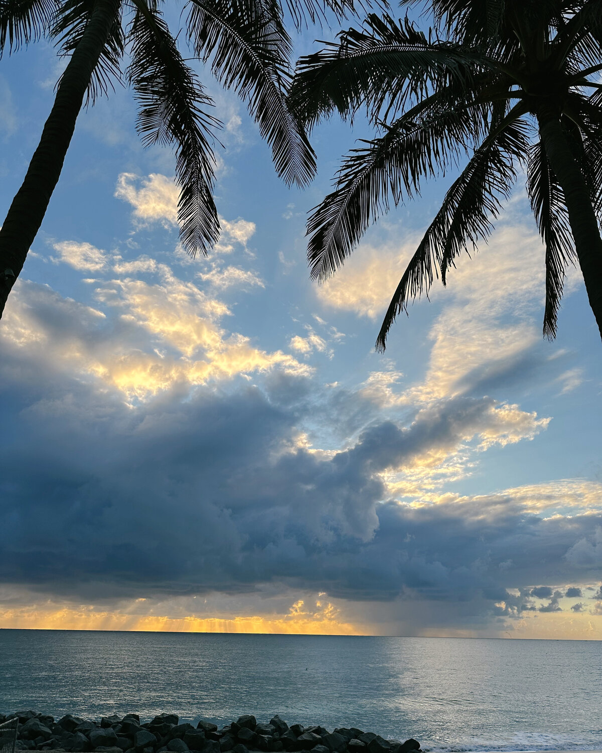 PALM TREES AT SUNRISE