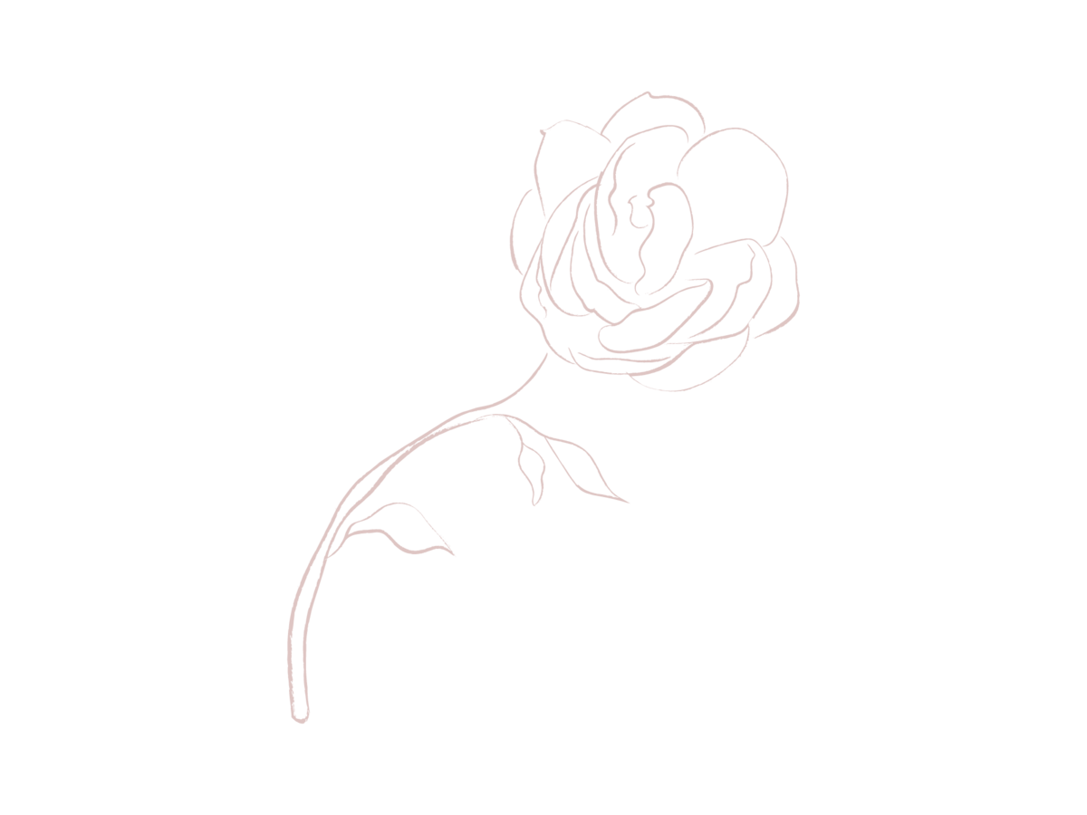 Rose-1-Pink