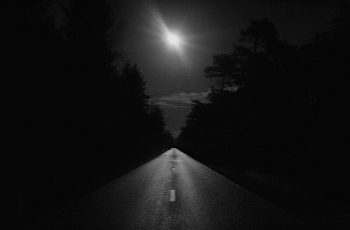 Bart Van der Moeren - De Stille Kempen - 015