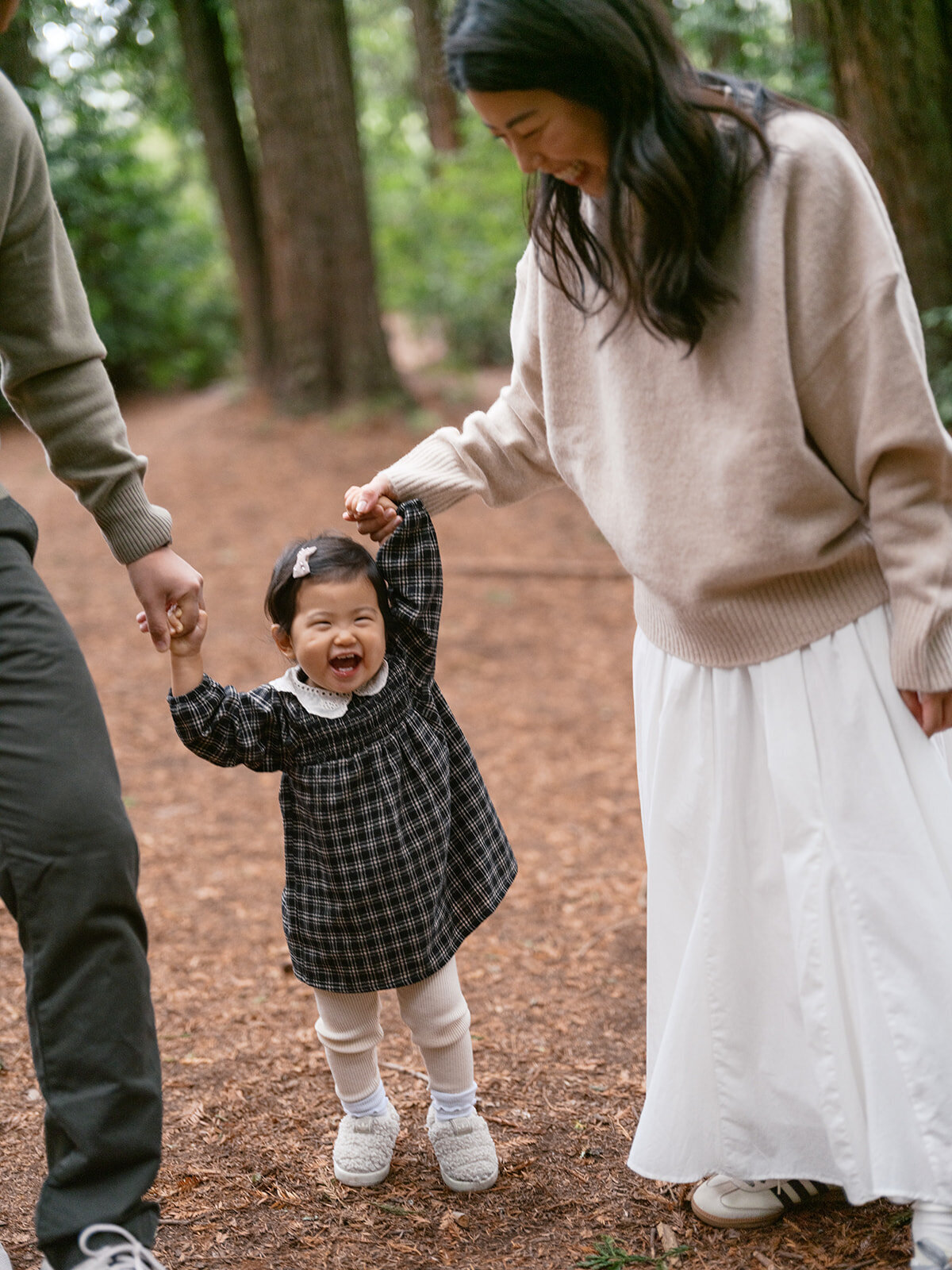 Redwood forest family photos East Bay Oakland Northern California photographer