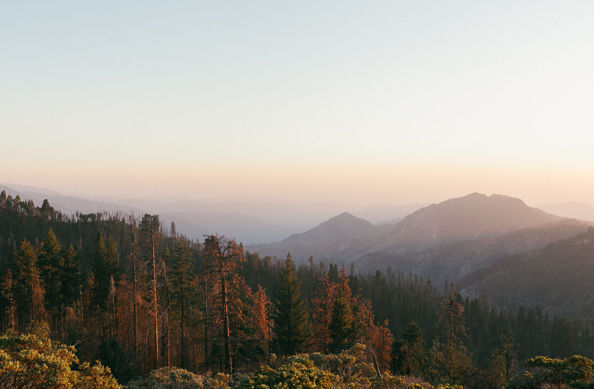 sequoianationalparkelopement-californiaelopement-378