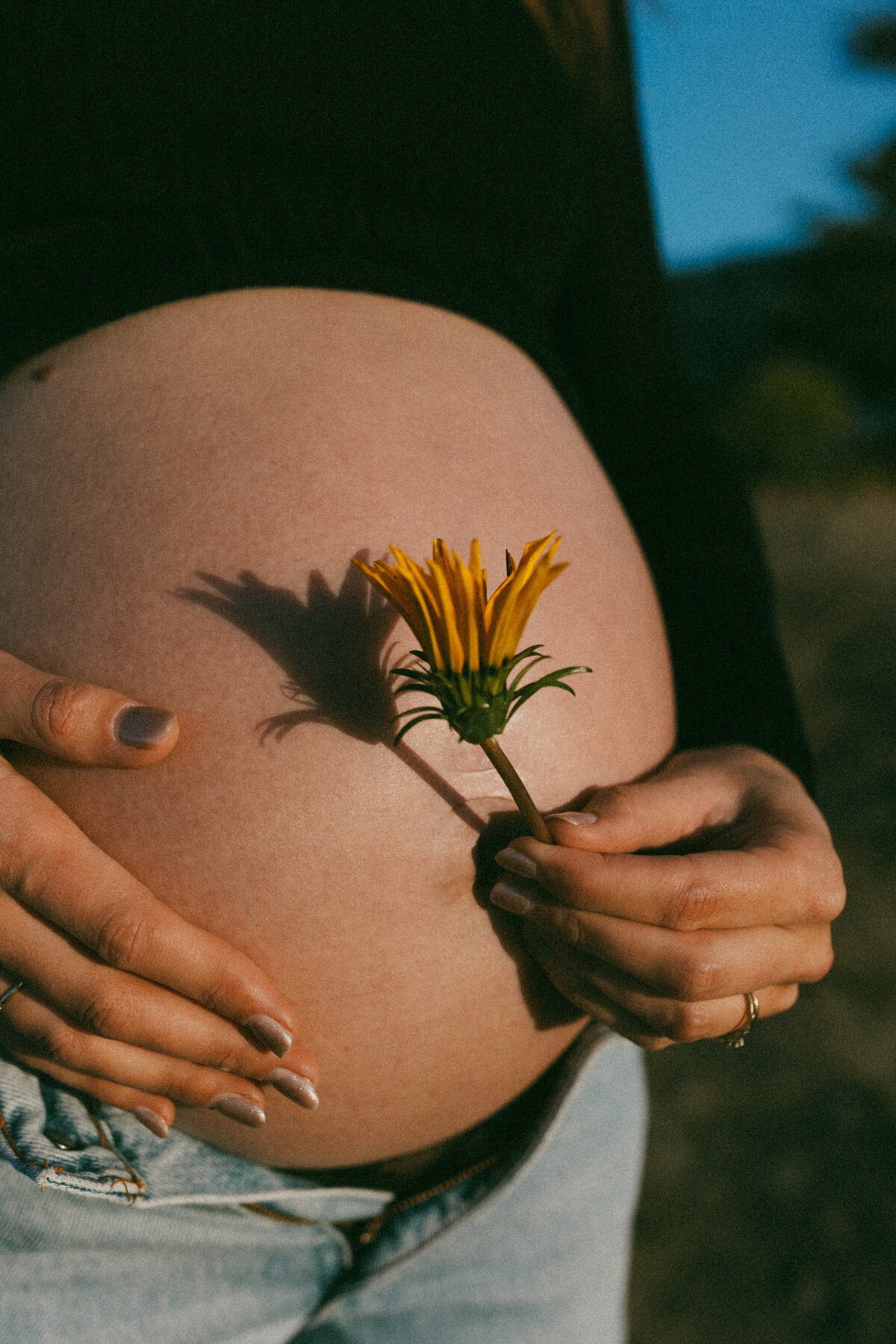 A whimsical fashion inspired film shot of a pregnancy during a maternity photoshoot with lucy jane in christchurch