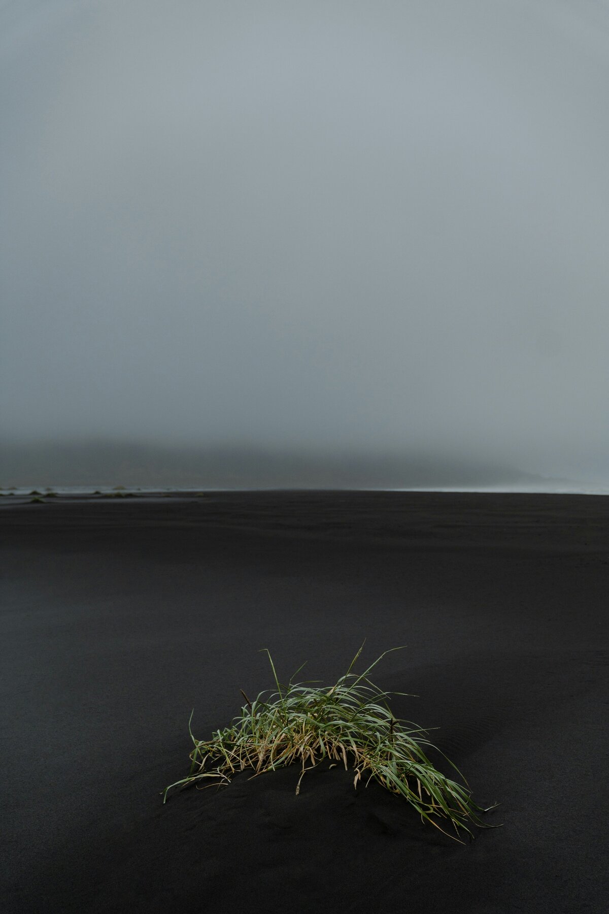 karsten-winegeart-n84X9IfqMzM-unsplash