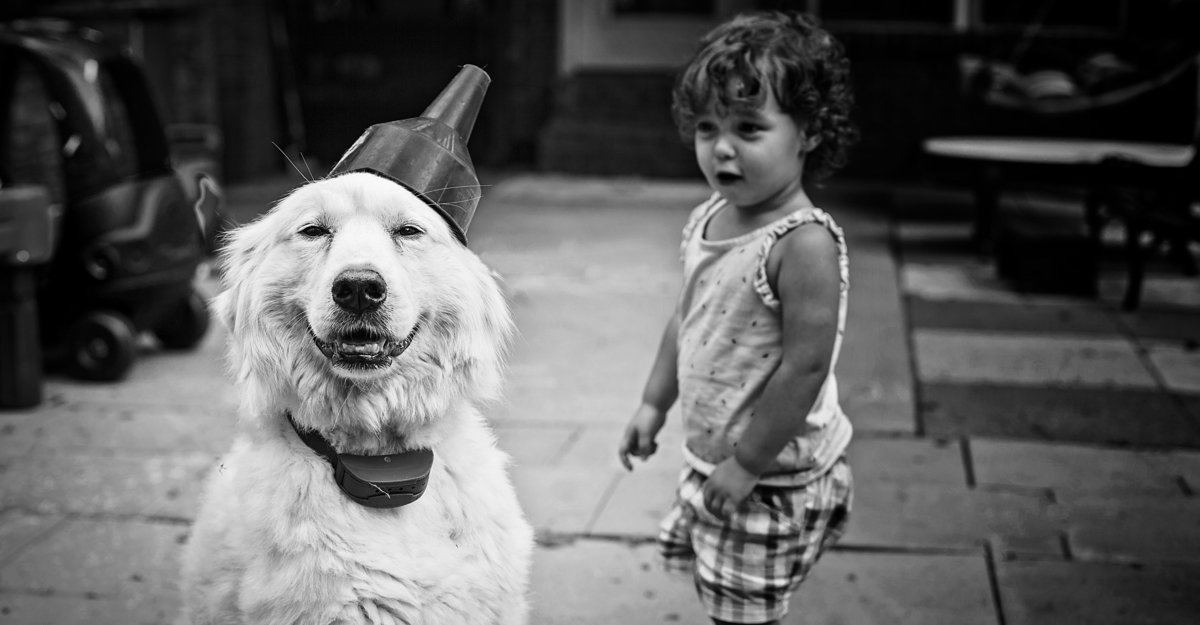 charlotte documentary photographer jamie lucido captures the friendship between dog and child with a funny image of the dog wearing  a makeshift hat