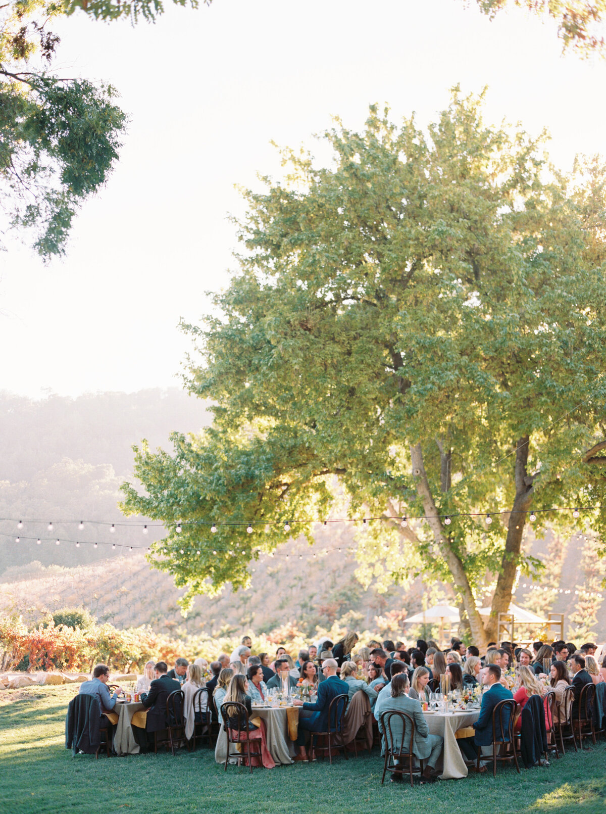 Hammersky_Vineyards_Paso_Robles_Wedding_045