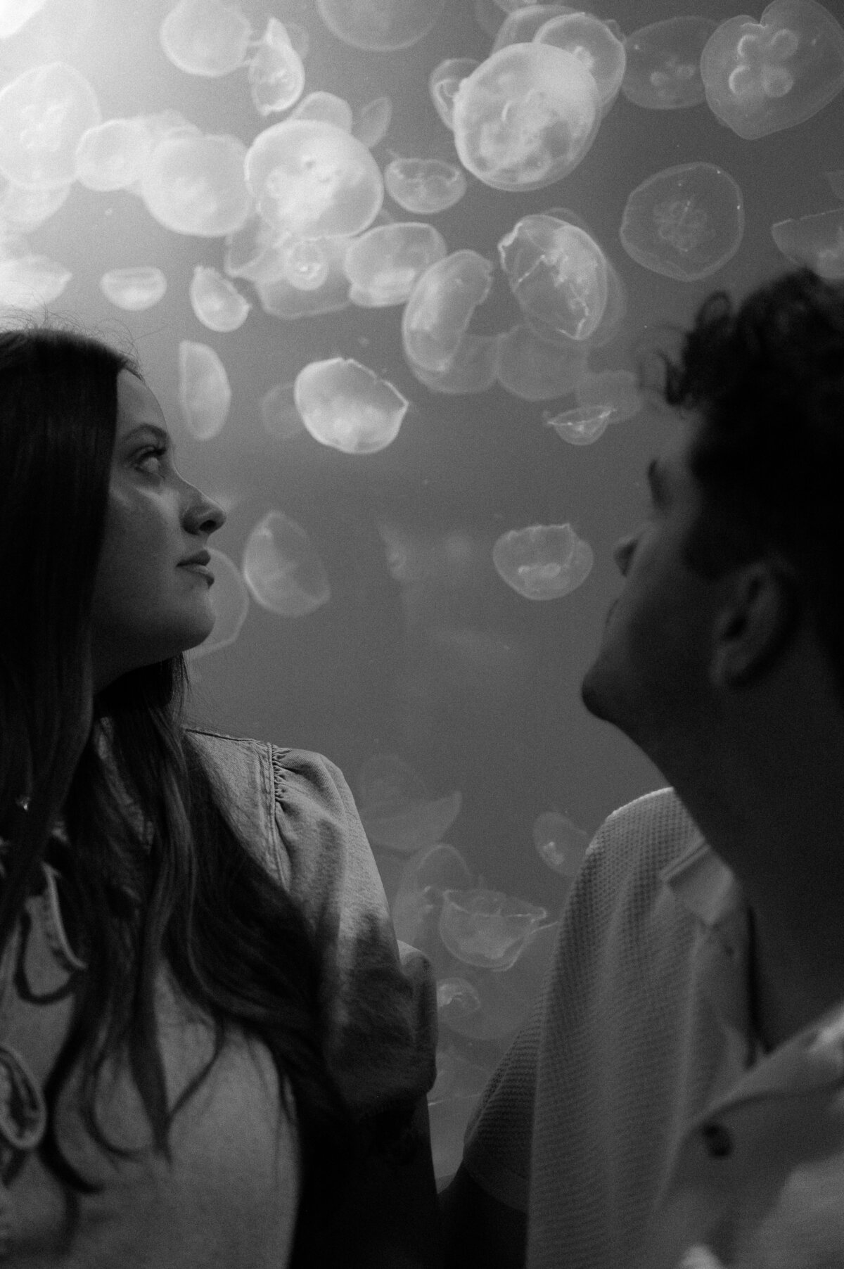 abstillsphotography_orangecountyphotographer-56