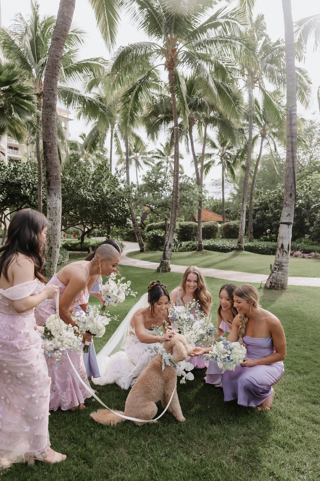 Bridesmaids petting dog at four seasons Oahu in multicolor dresses hues of purple