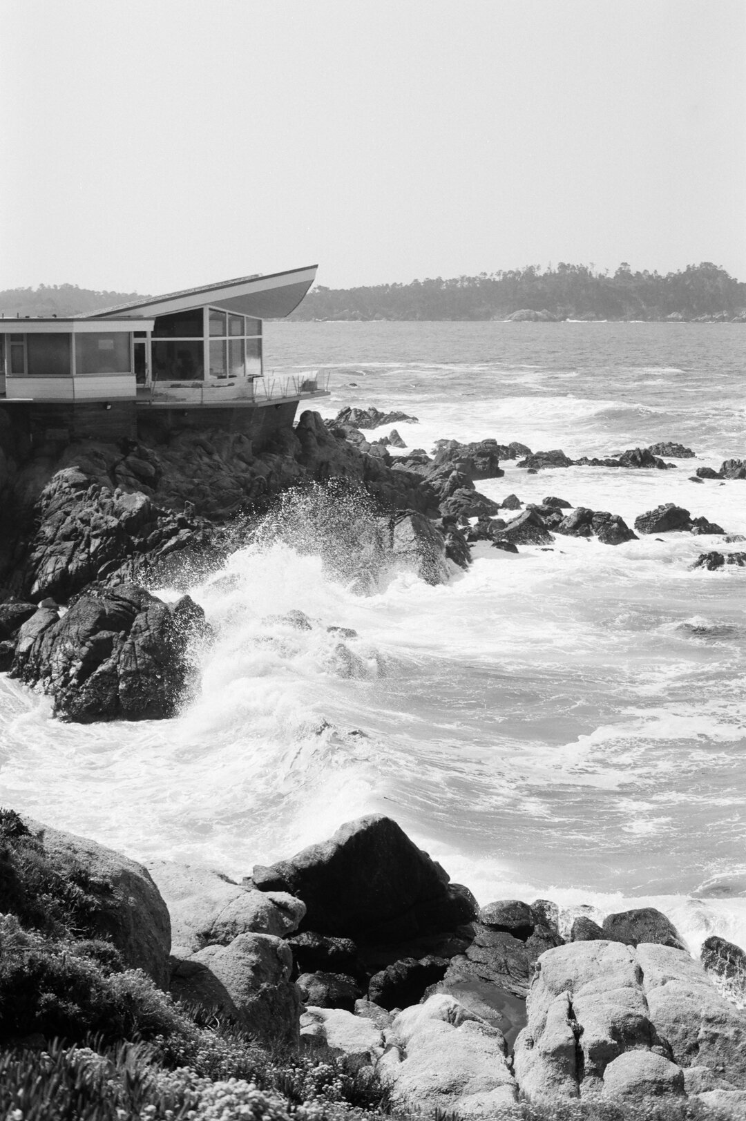 Photo of the carmel butterfly house in monterey
