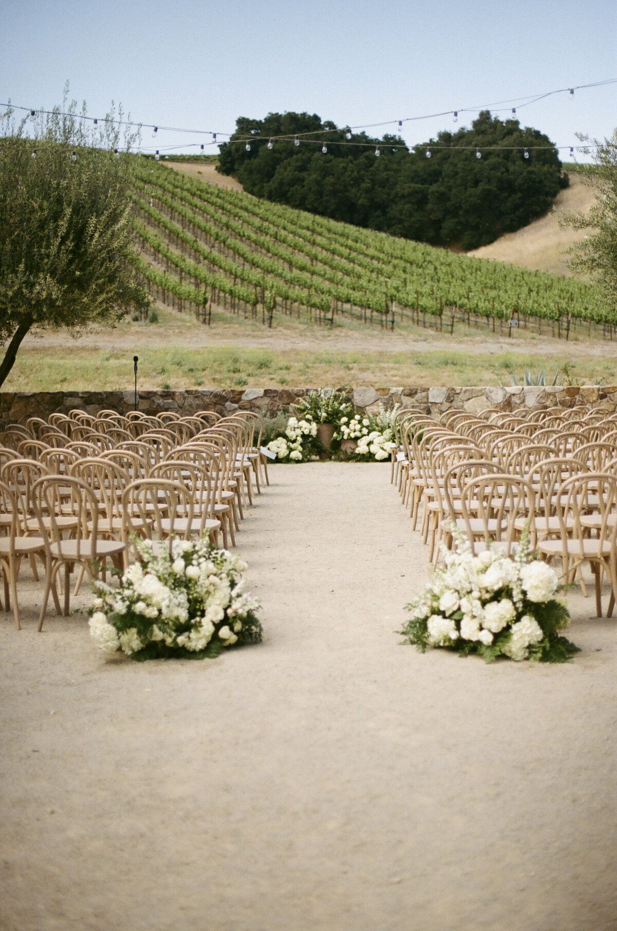 Film Paso Robles Wedding Photographer-8