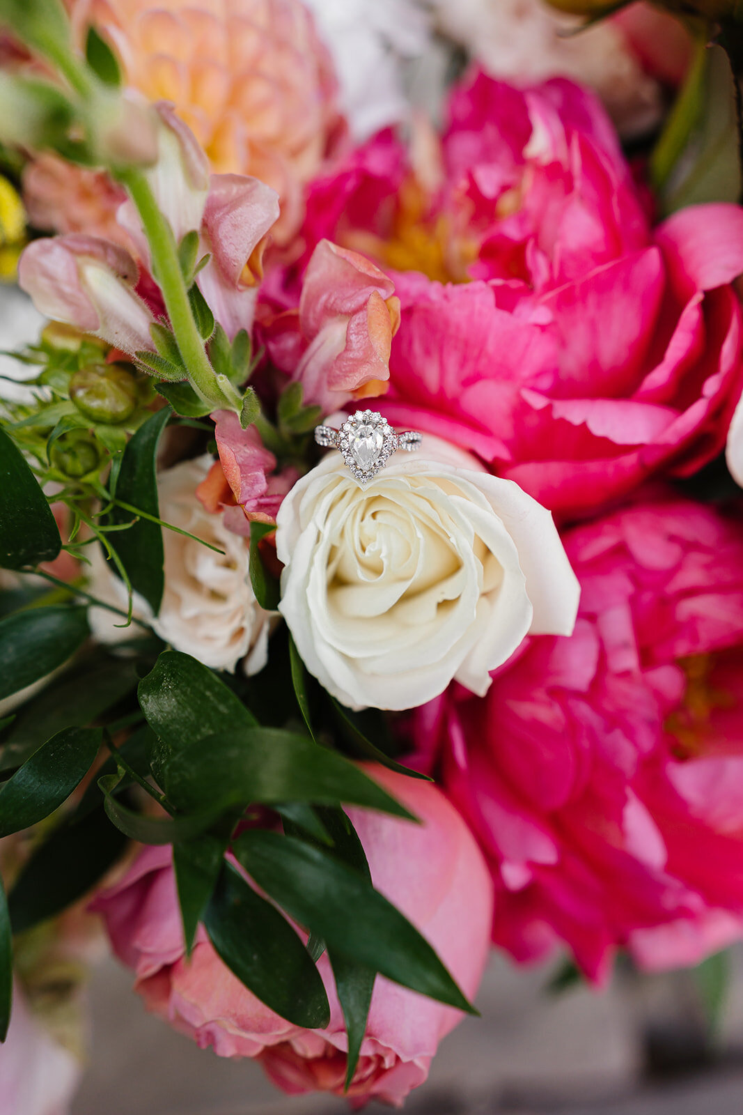 San Diego Wedding 4