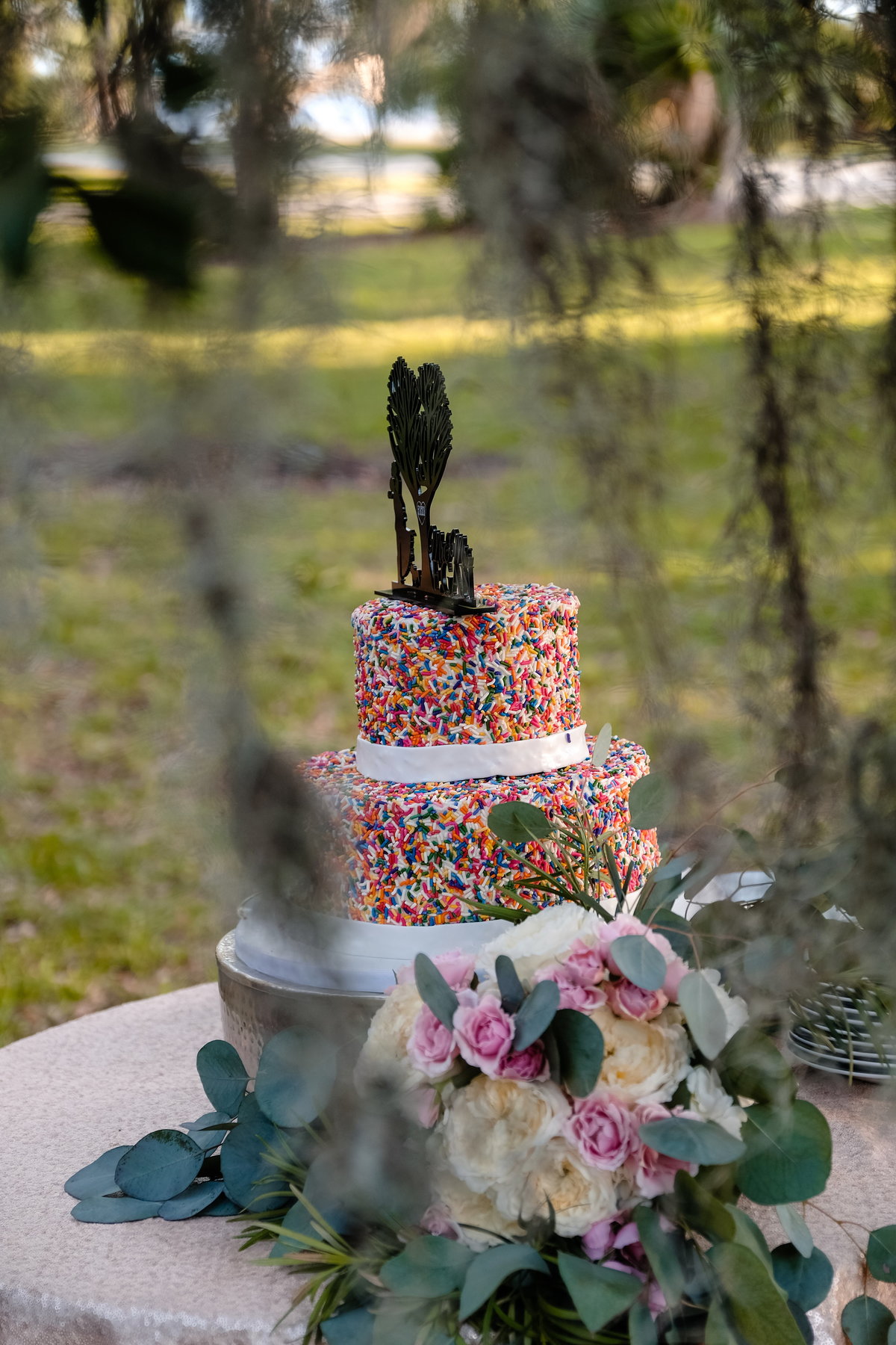 Jekyll Island Wedding, sprinkles wedding cake, Bobbi Brinkman Photography