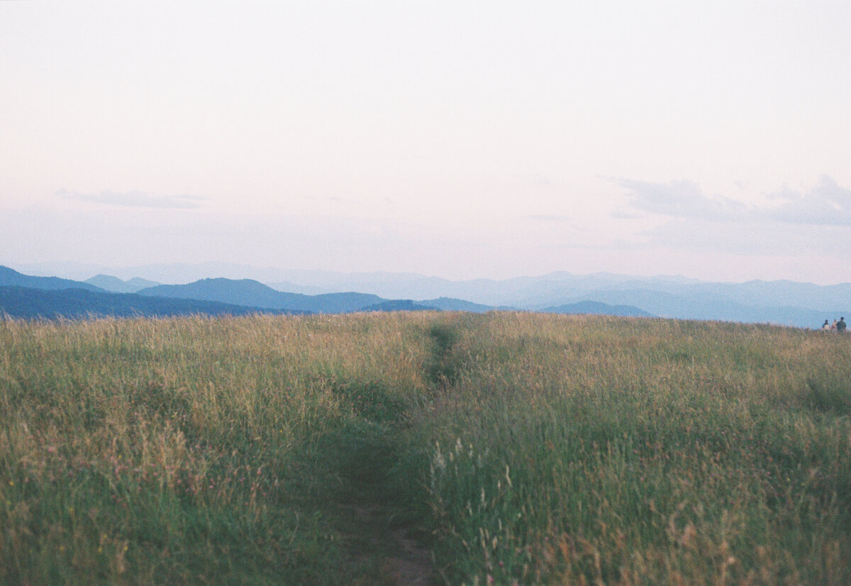 AG_6977_Gold 200_036041-R1-013-5