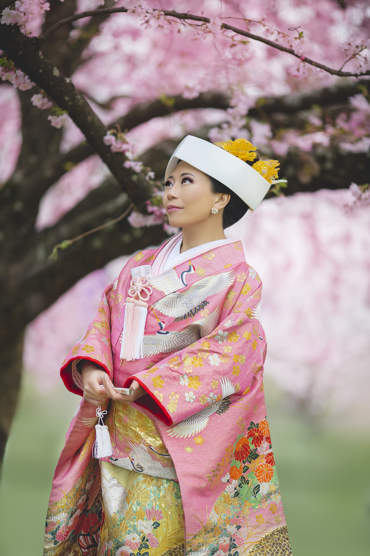 kirakiraartistry_fullsize-Judy Cherry Blossom