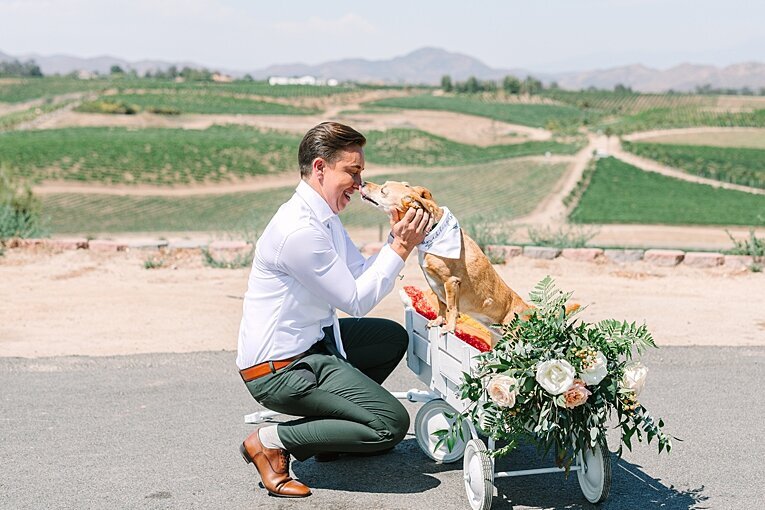 mount-palomar-winery-temecula-california-destination-wedding-photographer_0014