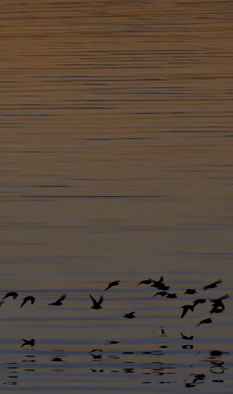 Screenshot 2025-03-31 at 8.57.01 PM
