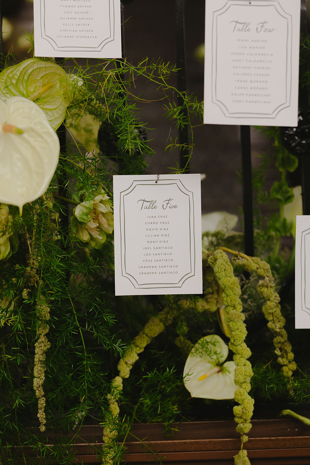 Nahji-captures-photography-florida-wedding-photographer1E4A1027_websize