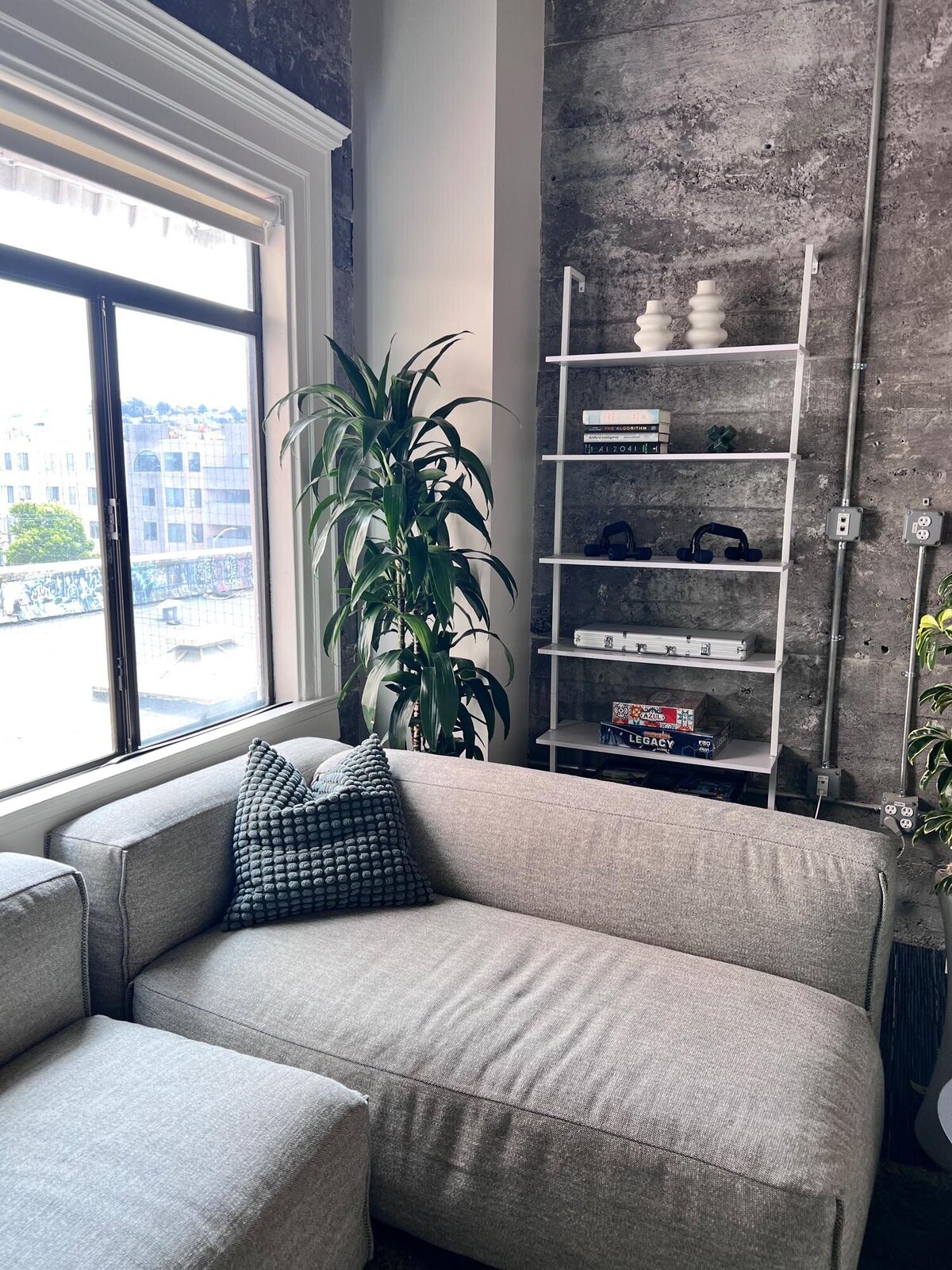 Lounge corner with a gray sectional sofa, textured throw pillow, indoor plant, and a white open shelving unit with books and games.