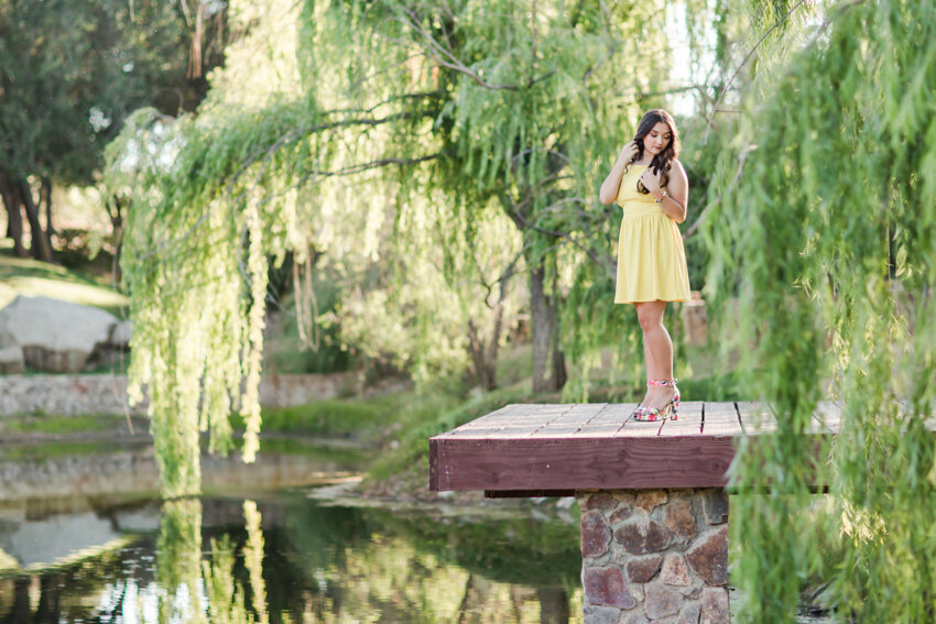 senior girl standing on dock with willow tree