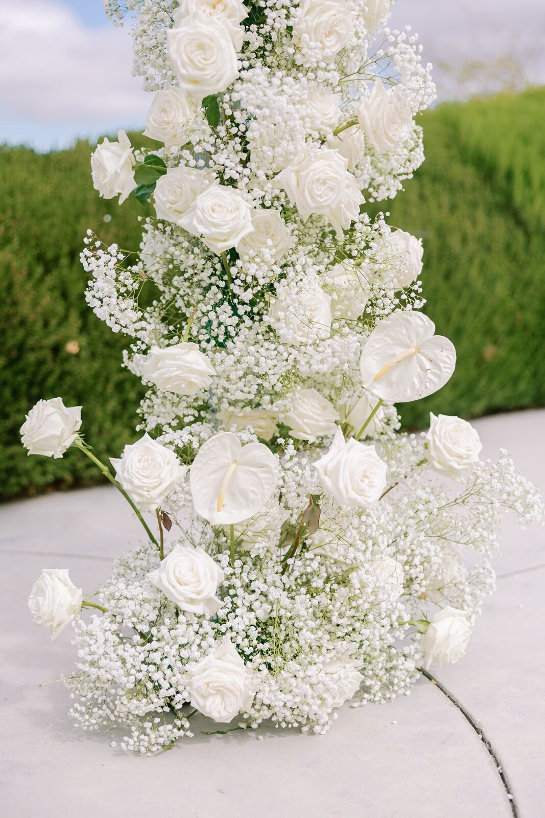 white-roses-babies-breath