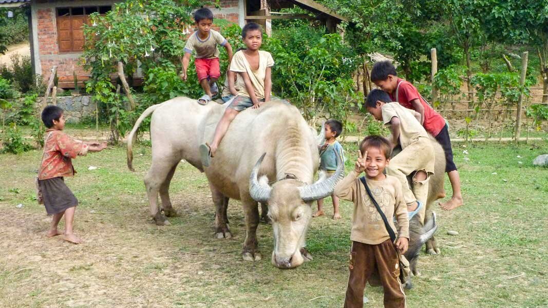 11-Laos