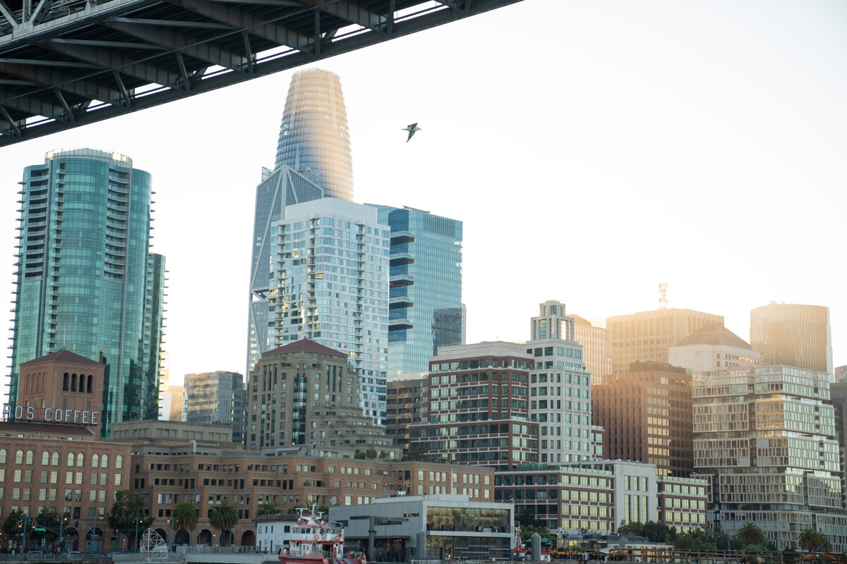 SAN-FRANCISCO-CITY-HALL-WEDDING-CHRISTINE-RYAN-06-43