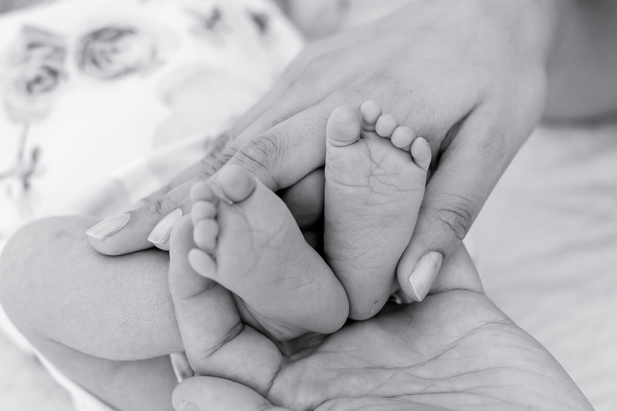 Newborn, black and white, tiny feet, close-up, soft focus – A delicate close-up of a newborn’s tiny feet being gently held, captured in black and white.