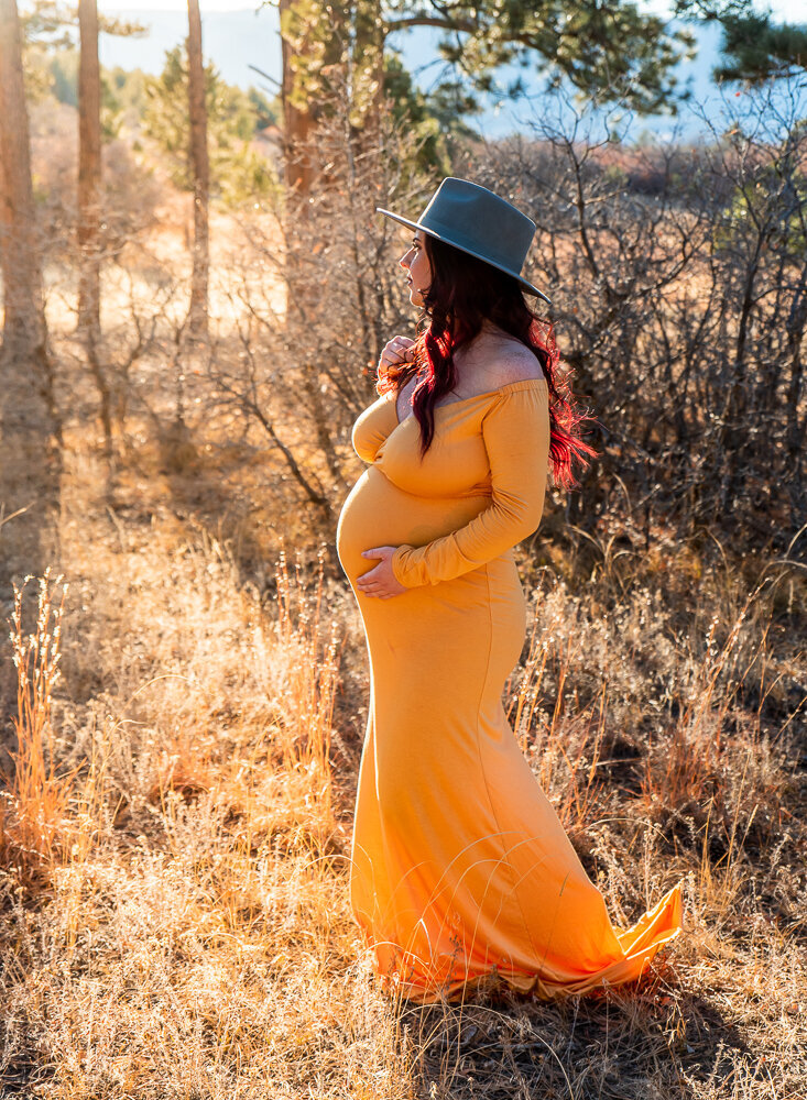 Paige Simpson Mini Maternity 2021-733
