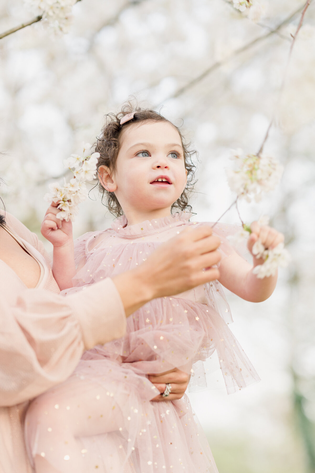 Courtney-Landrum-Photography-Motherhood-Cherry-Blossoms-14