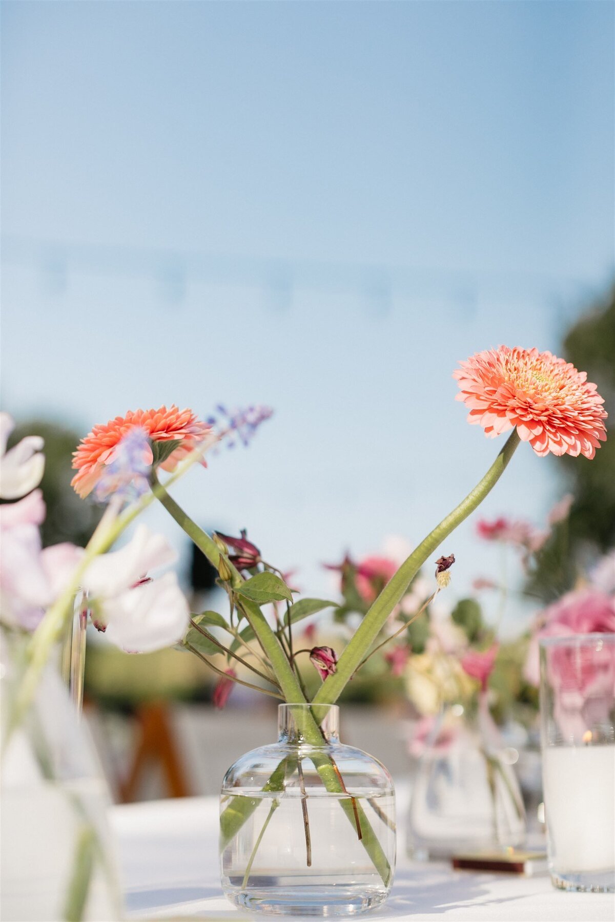 5.18.24_jen_cj_wedding_melissaatle-512